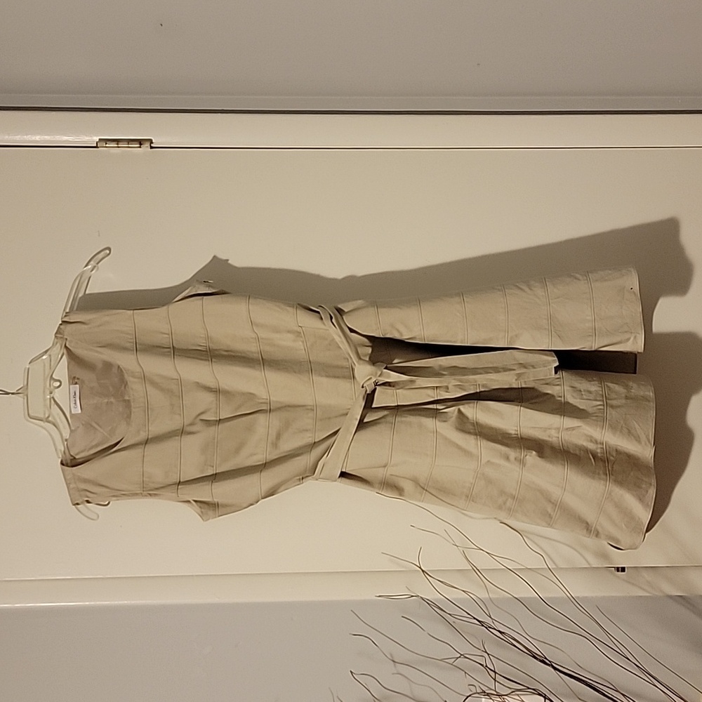 Calvin Klein Dress